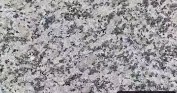 珠海 芙蓉白（芝麻白大花）火烧面