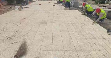 珠海黄金麻荔枝面地铺案例