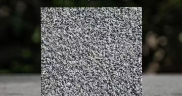 珠海 芝麻黑荔枝面