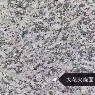 珠海 芙蓉白（芝麻白大花）火烧面