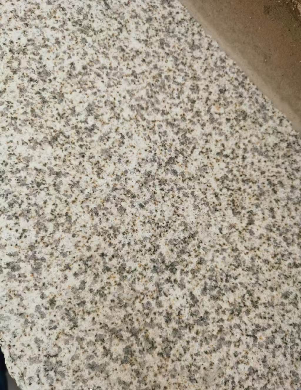 珠海 黄金麻中黄光面