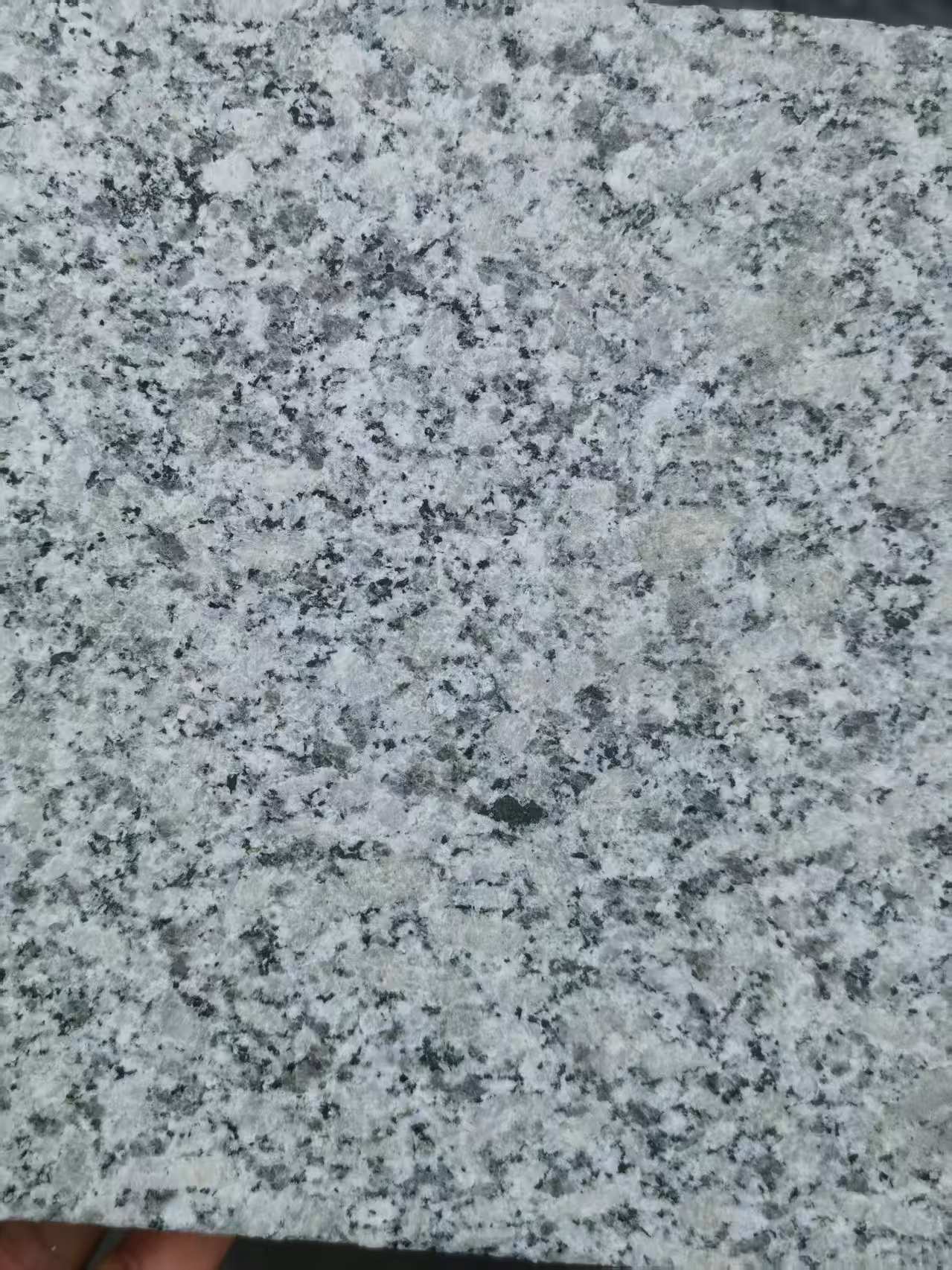 珠海 芙蓉白火烧面