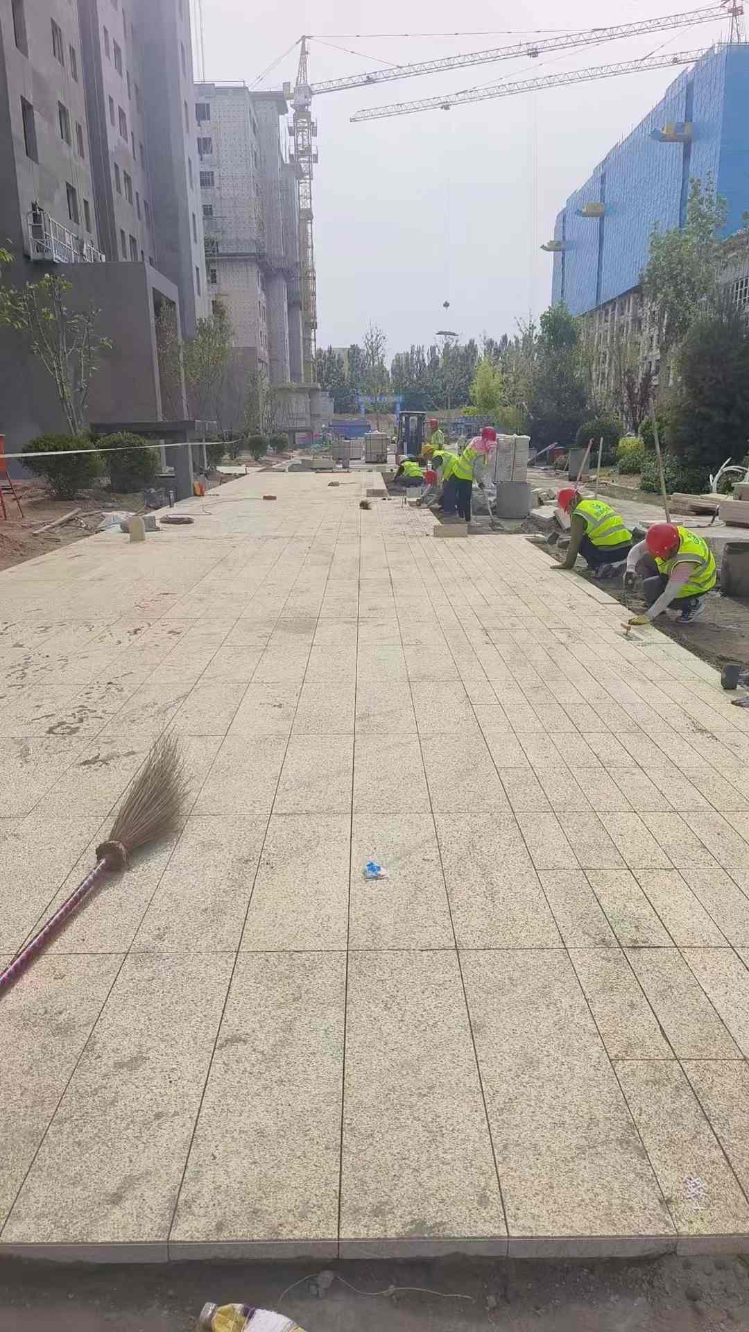 珠海黄金麻荔枝面地铺案例