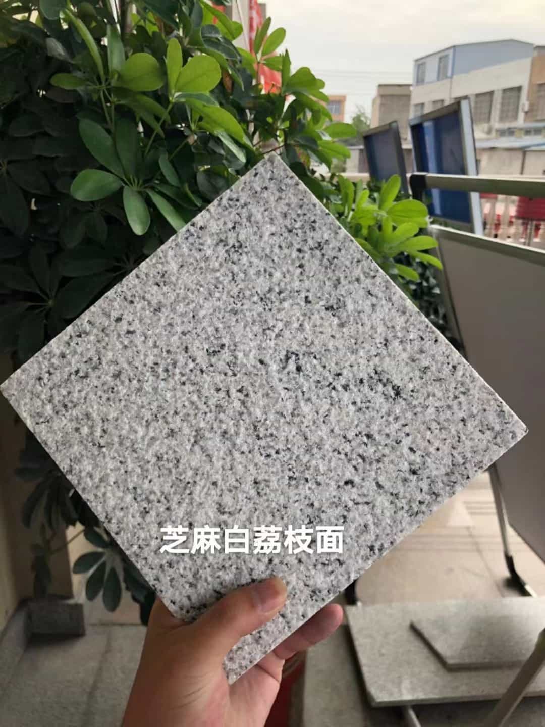 珠海 芝麻白荔枝面干挂