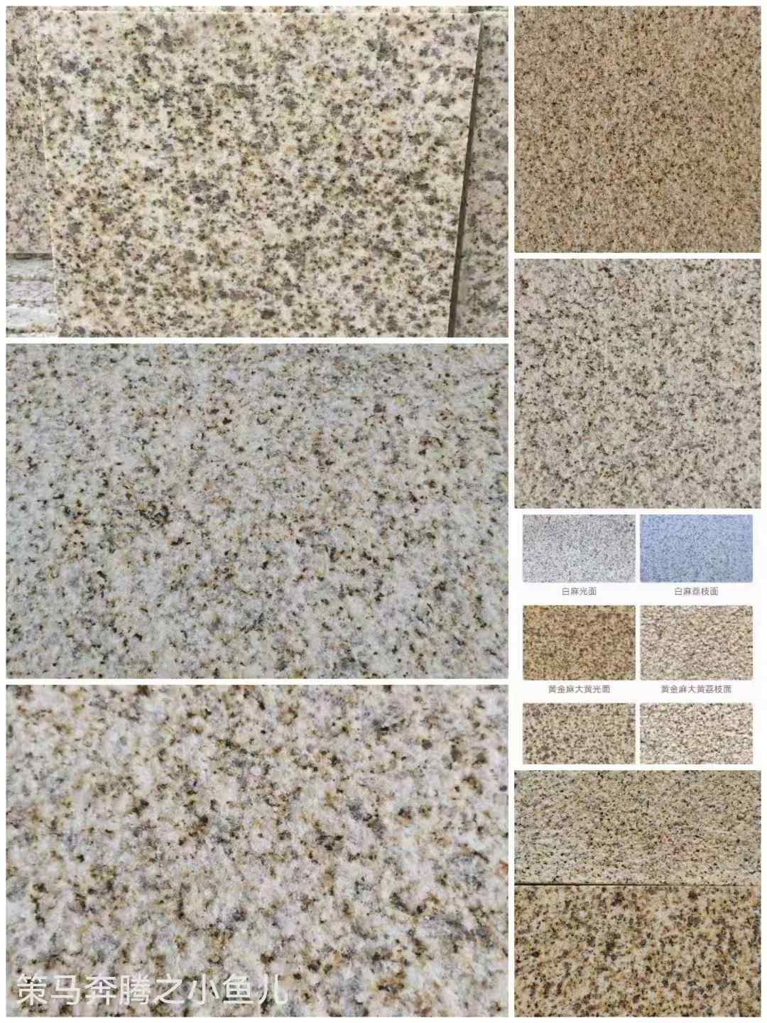 珠海黄金麻